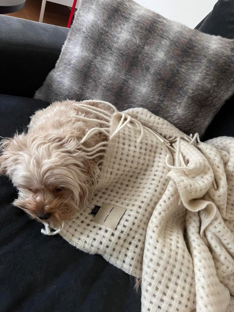 thread + butter Alpaca Wool Throw Blanket Ivory Basketweave i##e##s: Luxury ^^ Sustainably Made ^^ Eco Friendly :i##e##s - Image 4